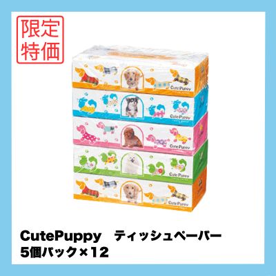 【期間特価】CutePuppy　ティッシュ