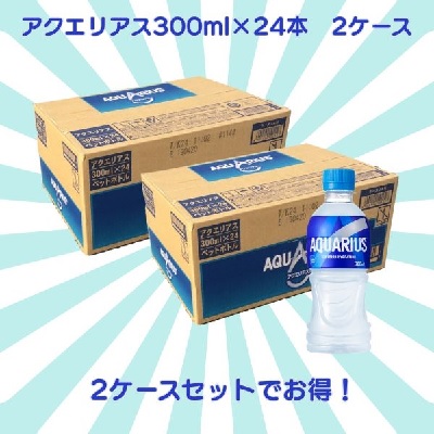 【期間限定!おまとめ割】アクエリアス