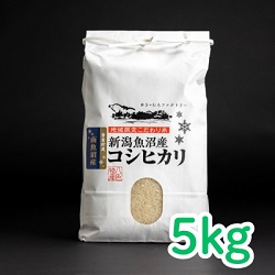 雪室貯蔵　魚沼産コシヒカリ