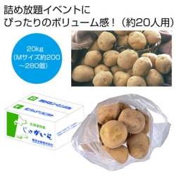 北海道産男爵じゃがいも詰め放題キット　約20kg