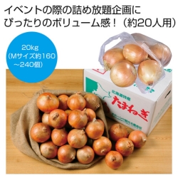 北海道産玉ねぎ詰め放題キット約20kg